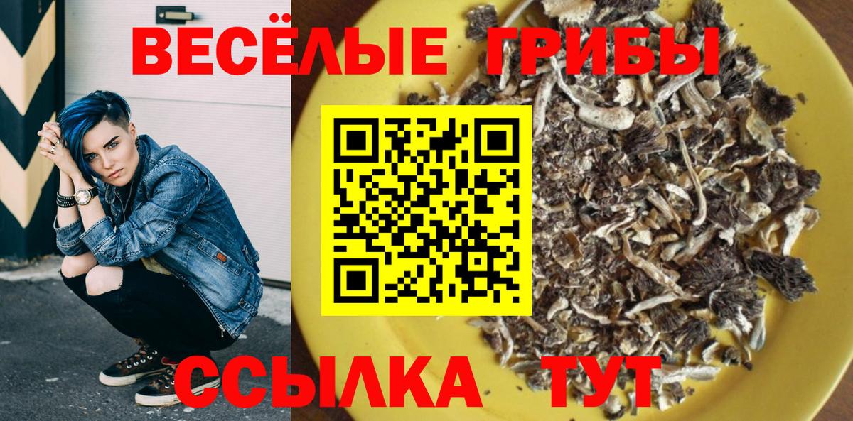 Ковров  Псилоцибиновые грибы мицелий  Вход с VPN  Галлюциногенные грибы MAGIC MUSHROOMS 