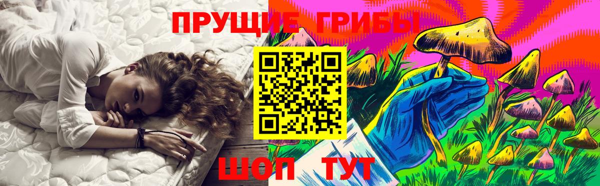 Псилоцибиновые грибы Magic Shrooms Ковров